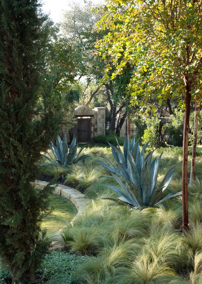 Mediterranean Garden by Root Design Company.com