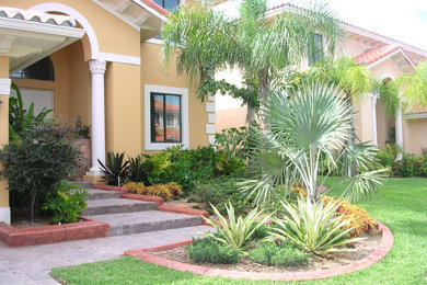 Ejemplo de acceso privado tropical de tamaño medio en patio delantero con exposición parcial al sol y adoquines de ladrillo