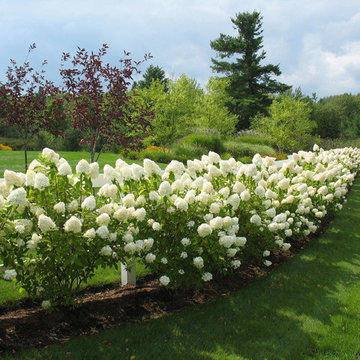 Burlington Retreat