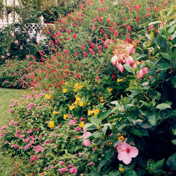 Butterfly Garden in Boca Raton