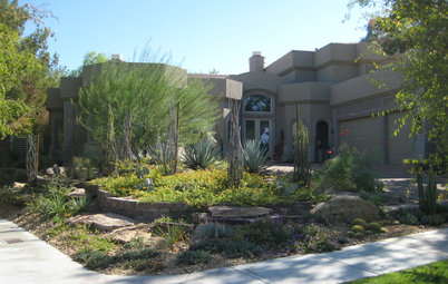 Lush Garden in the Las Vegas Desert