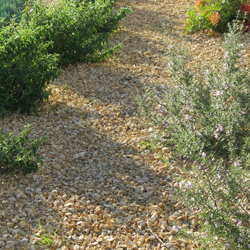 "CA Gold" Gravel Ground Cover