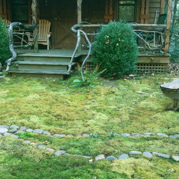 Cabin in the Woods -- Moss Retreat