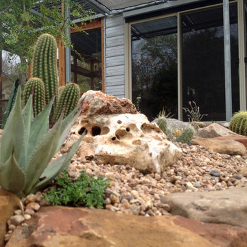 cactus & Succulent Gardens