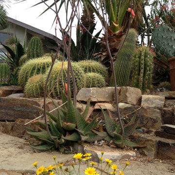 cactus & Succulent Gardens