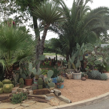 cactus & Succulent Gardens