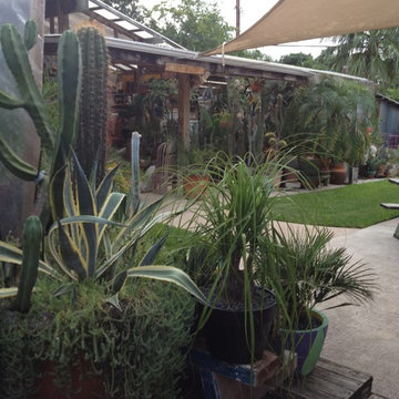 cactus & Succulent Gardens