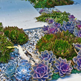 Photo of a small contemporary drought-tolerant and partial sun front yard stone landscaping in Los Angeles.