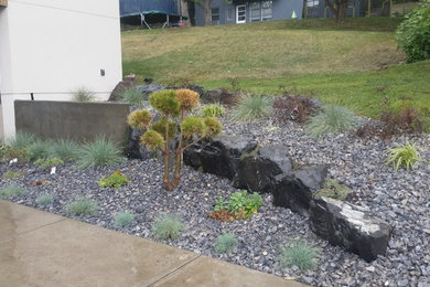 Inspiration for a landscaping in Calgary.