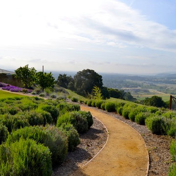 California Craftsman Hillside Garden