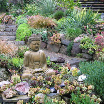 California drought-tolerant garden