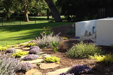 Inspiration for a contemporary landscaping in Sacramento.