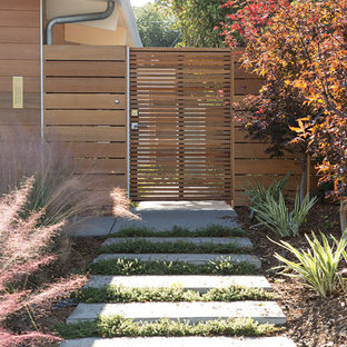 Esempio di un giardino minimalista con un ingresso o sentiero e pavimentazioni in cemento