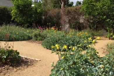 Photo of an eclectic garden in Los Angeles.