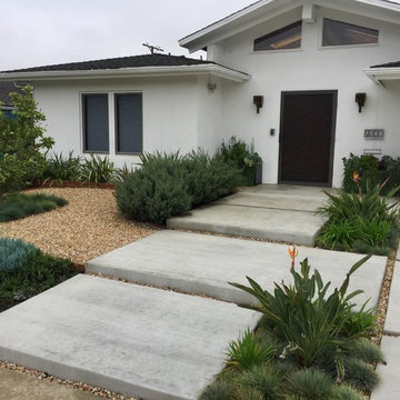 California Native Entry Way with Pavers