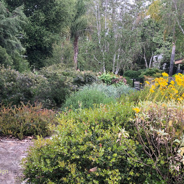 California native garden