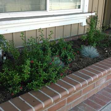 California Native Small Front Yard In Cypress