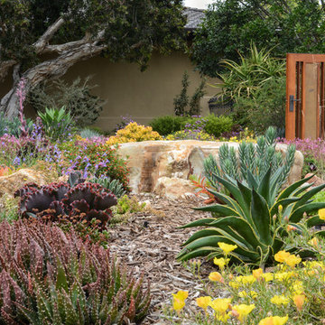 California Ranch Dreaming