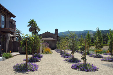 Ejemplo de jardín mediterráneo con exposición total al sol y gravilla