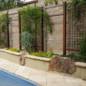 Calle Del Oso