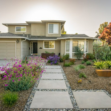 Campbell Front Yard Xeriscape