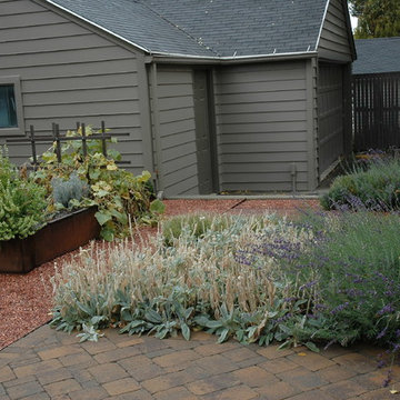 Cape Cod Style New Back Yard