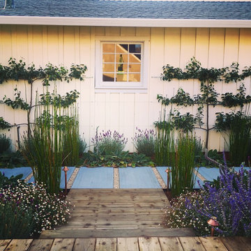 Cape Cod Wild and Edible -Transitioning a suburban front lawn into two new rooms
