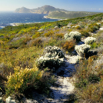 Cape Point Reserve, ZA.jpg