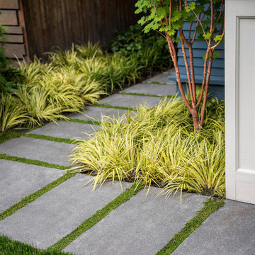 Capitol Hill Craftsman Landscape Design