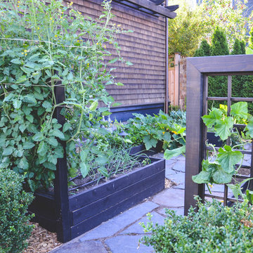 Capitol Hill Potager Garden