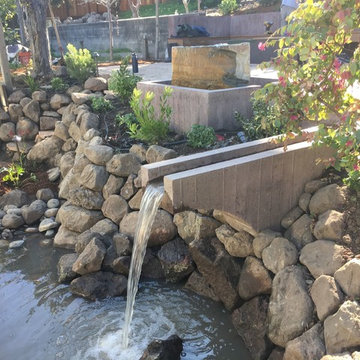 Carbonera Street Project -- Water Feature