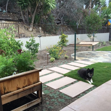 Carlsbad backyard says good by to a large lawn.