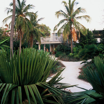 This is an example of a tropical backyard landscaping in Miami.