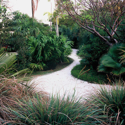 Inspiration for a tropical backyard landscaping in Miami.