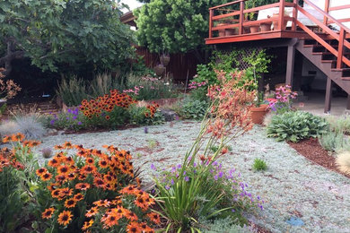 Design ideas for a small mediterranean drought-tolerant and full sun backyard mulch landscaping in San Francisco.