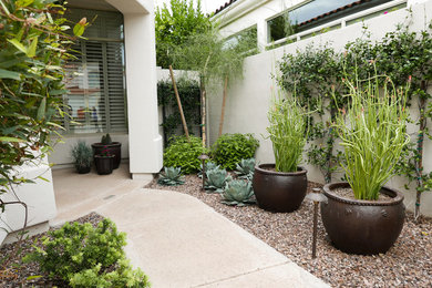 フェニックスにあるコンテンポラリースタイルのおしゃれな庭の写真