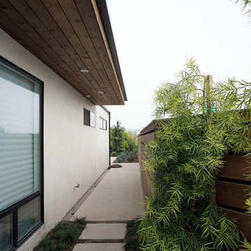 cedar details + landscaping at sideyard