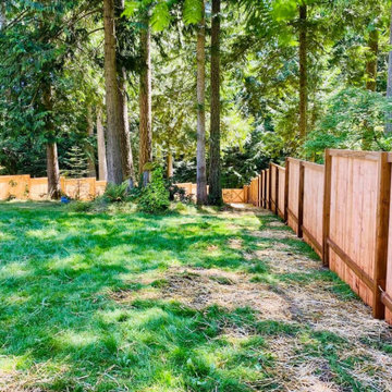 Cedar Fence #2