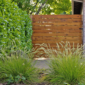 Cedar Gate and English Laurel Hedge