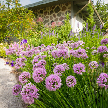 Mid-Century Modern Landscape - Cedarburg, WI