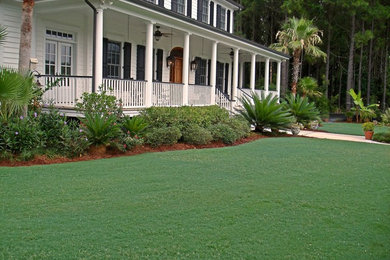 Inspiration for a medium sized classic front full sun garden for winter in Tampa with mulch.