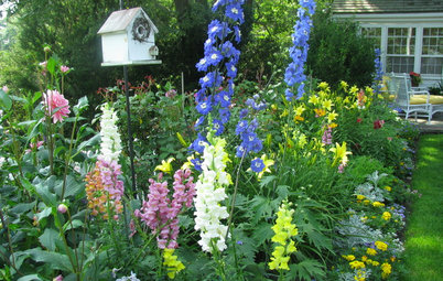 How to Grow a Flower Garden for Bouquets