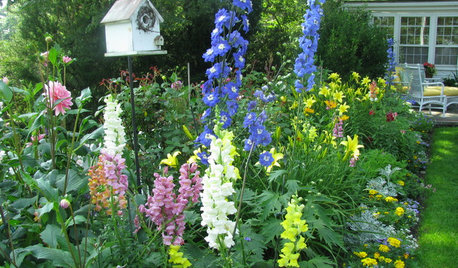 How to Grow a Flower Garden for Bouquets