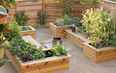 10 Beautiful Small Edible Gardens