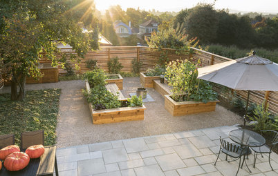 Before and After: 3 Beautiful Edible Gardens Rise From the Ground