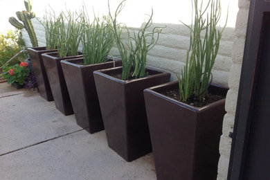 Design ideas for a contemporary partial sun backyard landscaping in Phoenix.