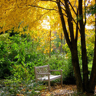 Simple Backyard Landscape | Houzz