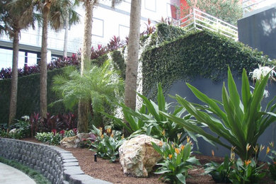 Inspiration for a landscaping in Orlando.