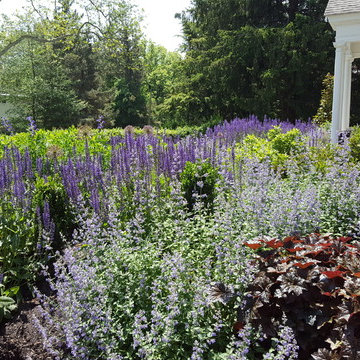 Chanticleer-Inspired Front Yard