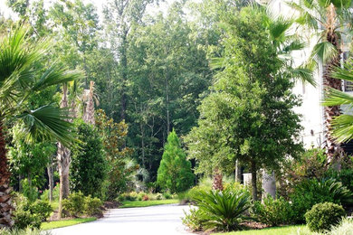Design ideas for a mid-sized contemporary side yard driveway in Charleston for summer.